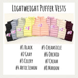 ‼️PREORDER‼️ Gender Neutral Lightweight Puffer Vests