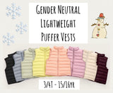 ‼️PREORDER‼️ Gender Neutral Lightweight Puffer Vests