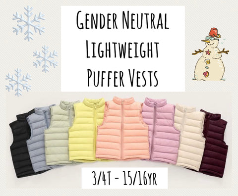 ‼️PREORDER‼️ Gender Neutral Lightweight Puffer Vests